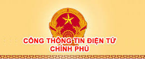 Chính Phủ